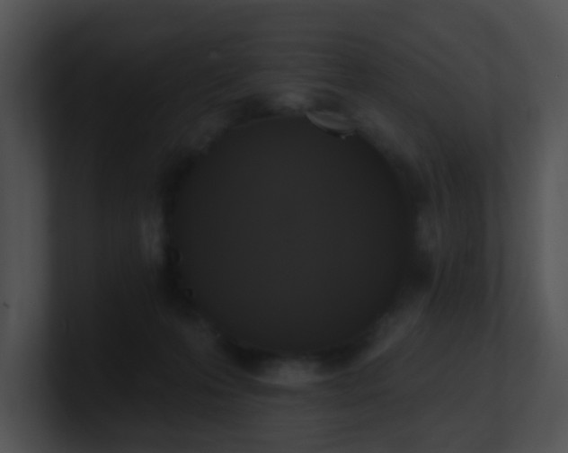 X0000100910223200806241320