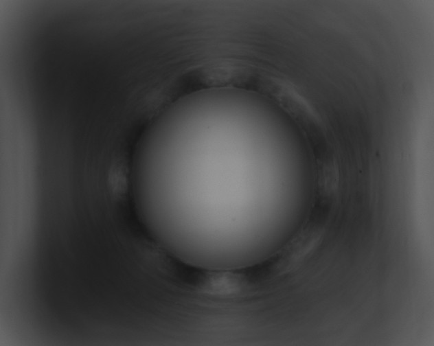 X0000100910226200806241320