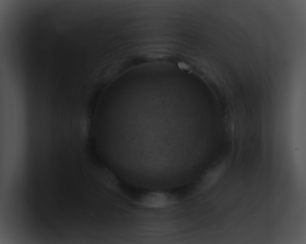 X0000100910227200806241320