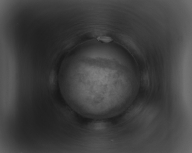 X0000100910228200806241320