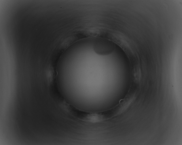 X0000100910231200806241320