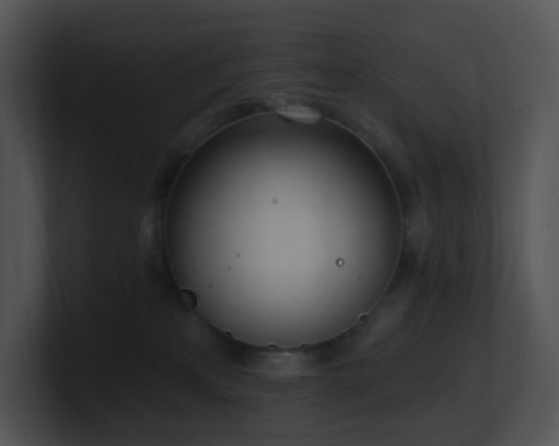 X0000100910233200806241320