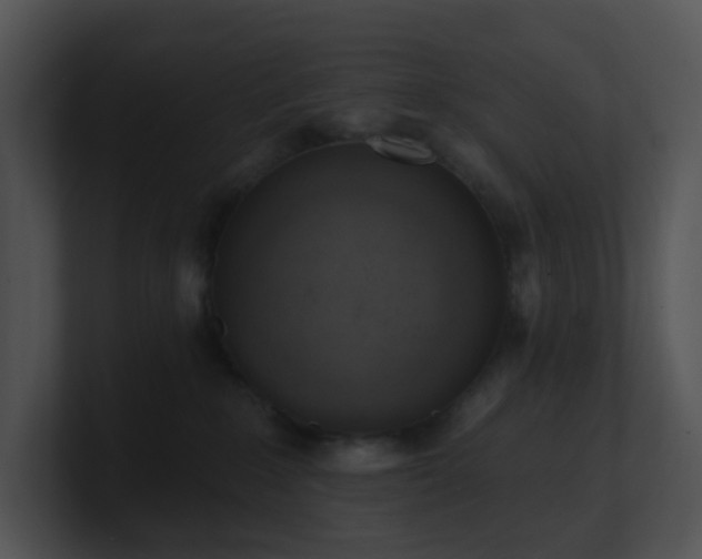 X0000100910235200806241320
