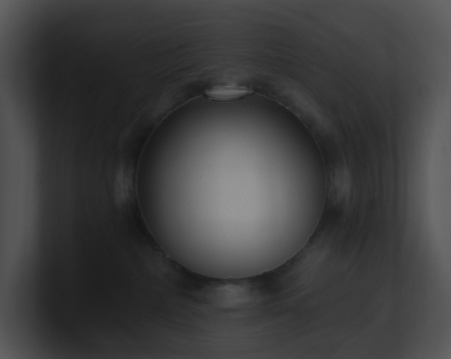 X0000100910236200806241320