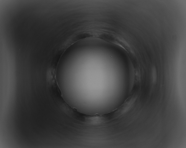 X0000100910237200806241320