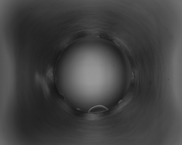 X0000100910238200806241320