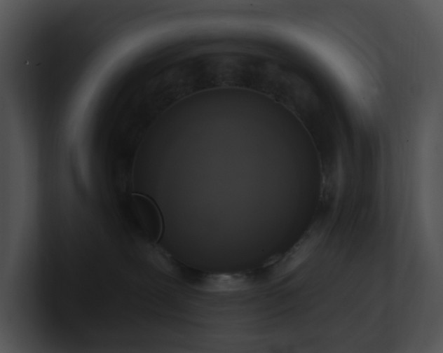 X0000100910239200806241320