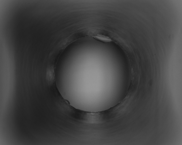 X0000100910240200806241320