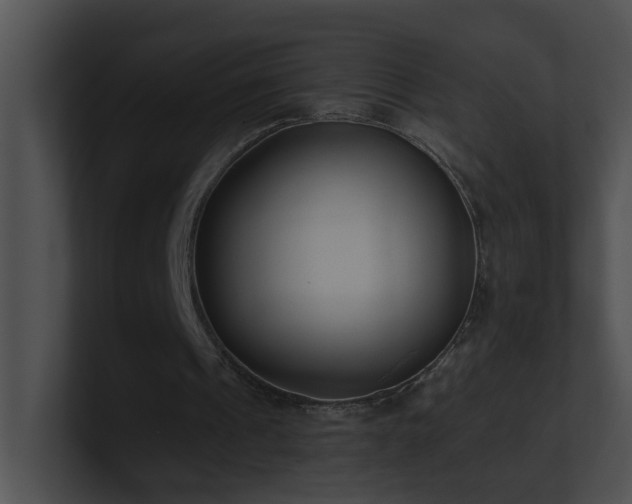 X0000100910241200806241319