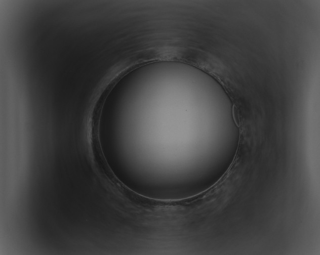 X0000100910242200806241319