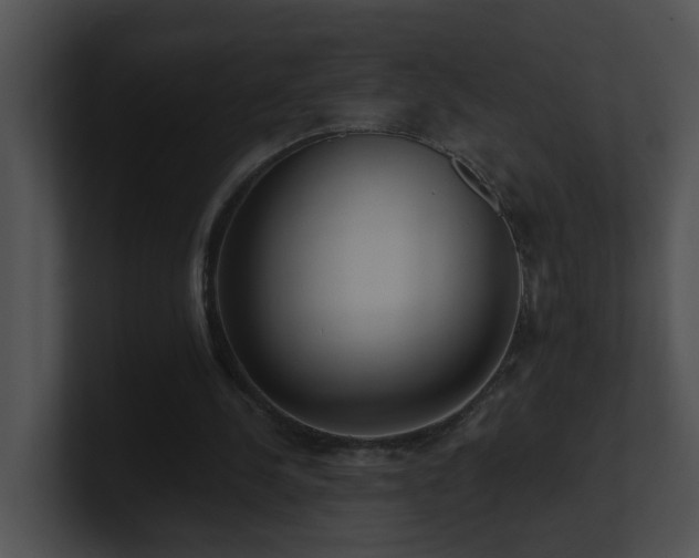 X0000100910244200806241319