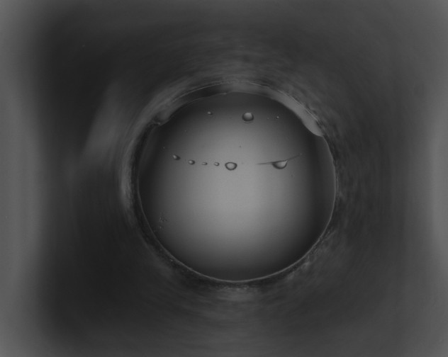 X0000100910245200806241319