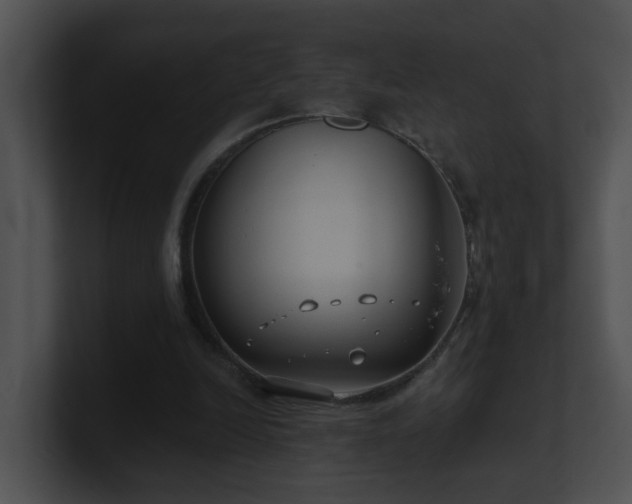 X0000100910246200806241319