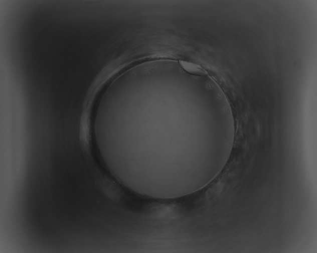 X0000100910247200806241319