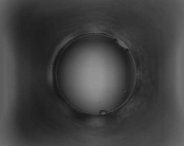 X0000100910248200806241319