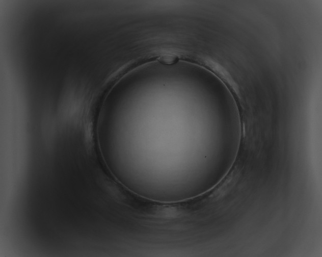 X0000100910249200806241319