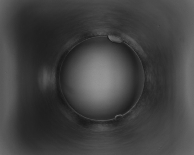 X0000100910250200806241319