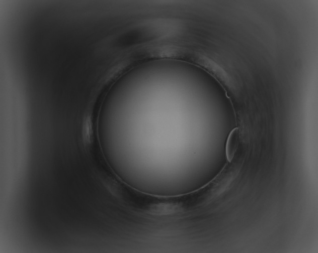 X0000100910251200806241319