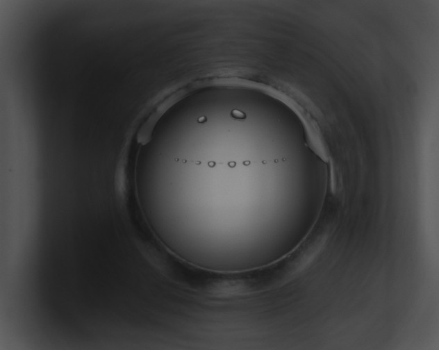 X0000100910252200806241319