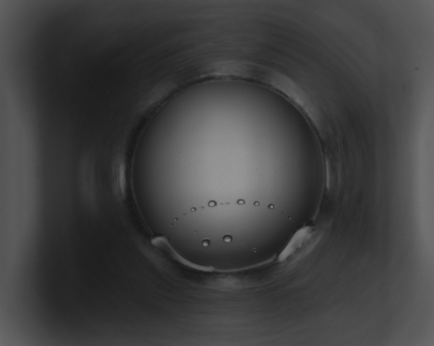 X0000100910253200806241319