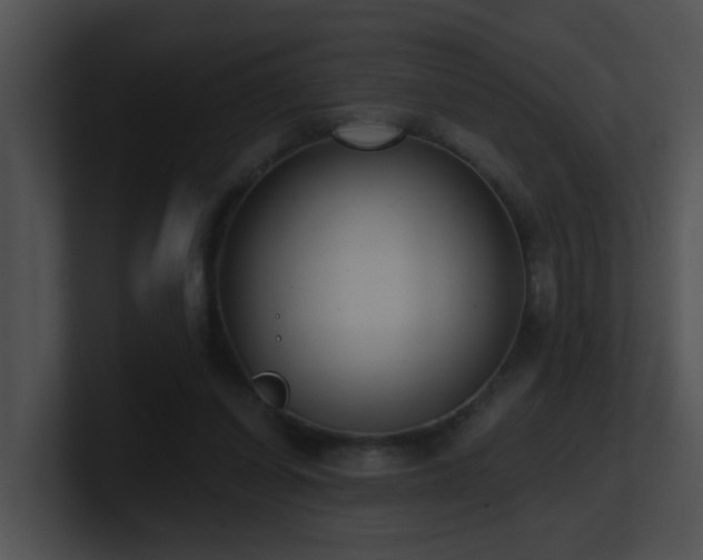 X0000100910254200806241319