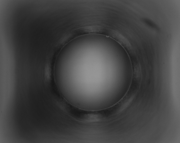 X0000100910255200806241319