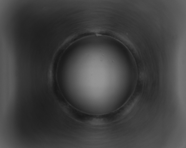 X0000100910256200806241319