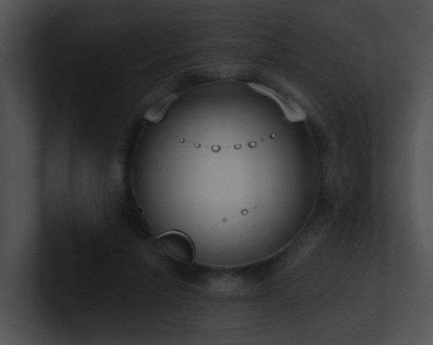 X0000100910258200806241319