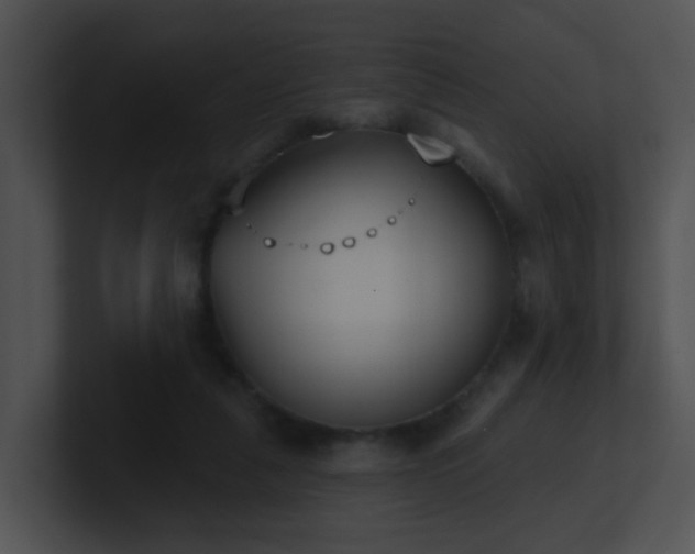 X0000100910259200806241319