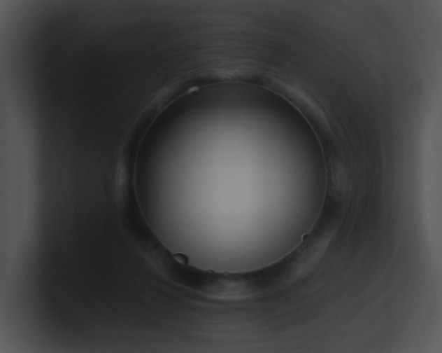 X0000100910260200806241319
