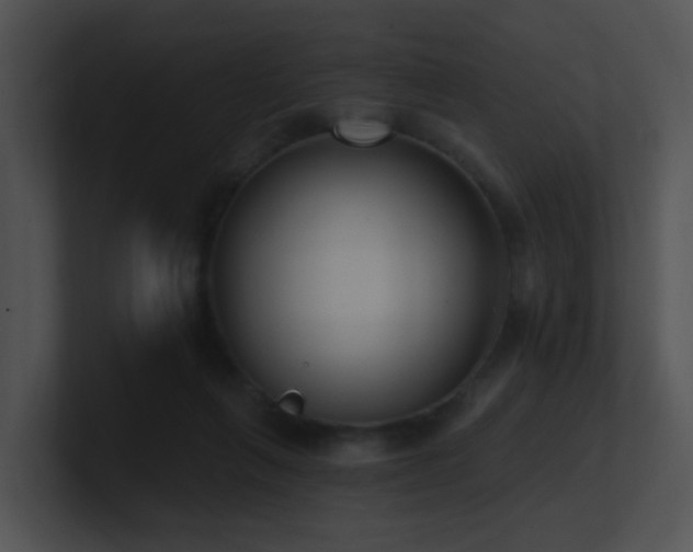 X0000100910263200806241319