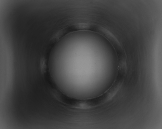 X0000100910264200806241319