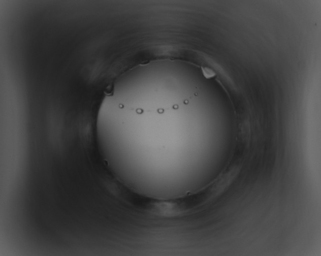 X0000100910265200806241319