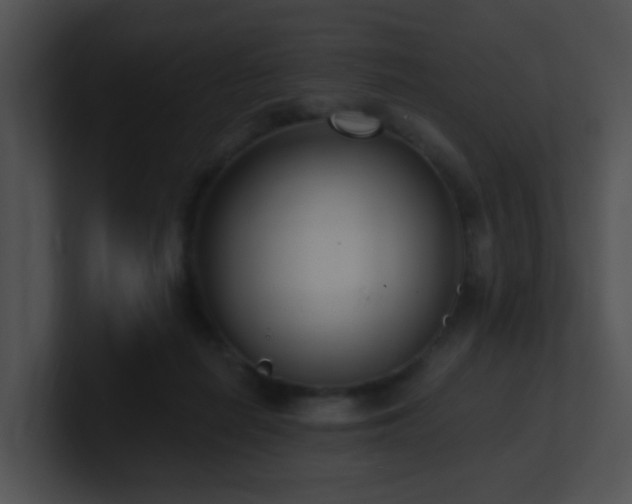 X0000100910266200806241319