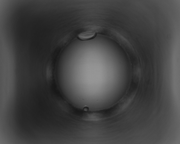 X0000100910268200806241319