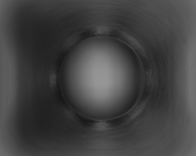 X0000100910269200806241319