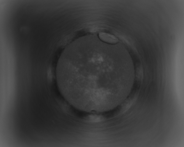 X0000100910272200806241319