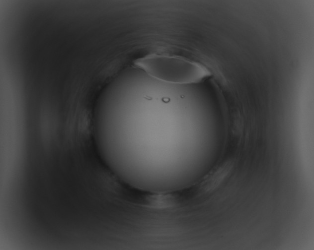 X0000100910273200806241319