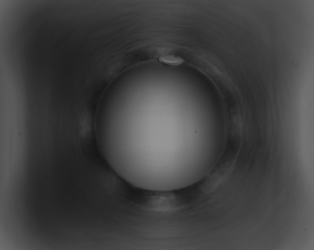 X0000100910274200806241320