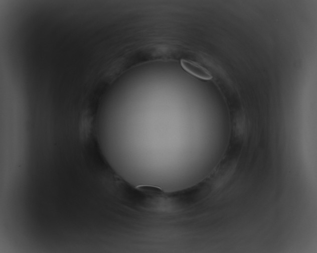 X0000100910276200806241320