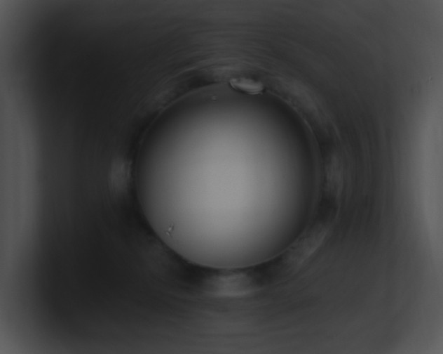 X0000100910278200806241320