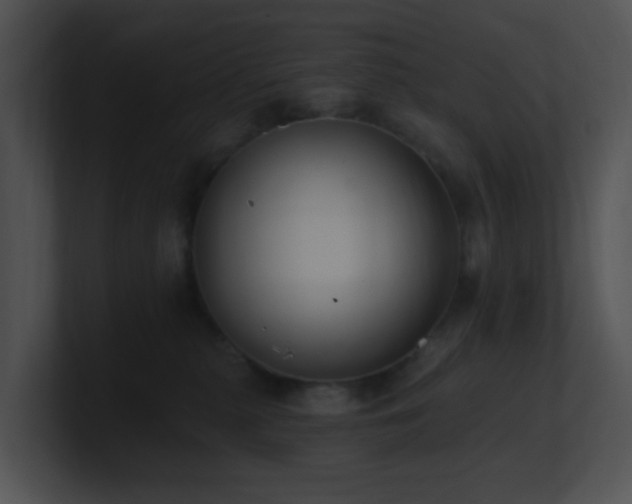 X0000100910279200806241320
