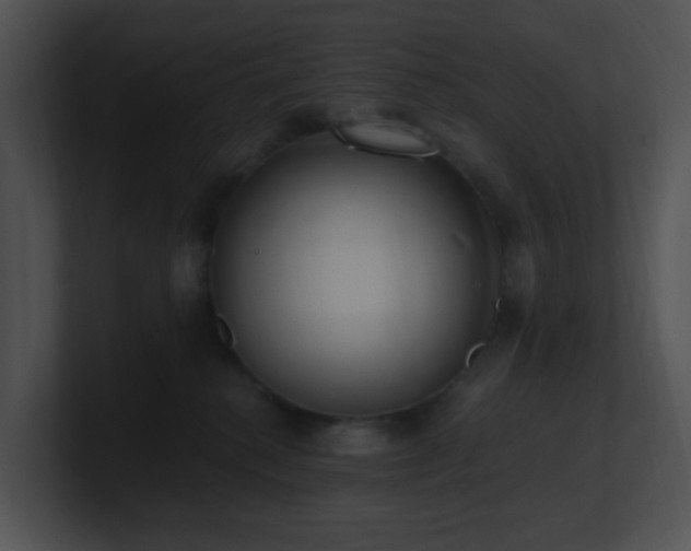X0000100910280200806241320