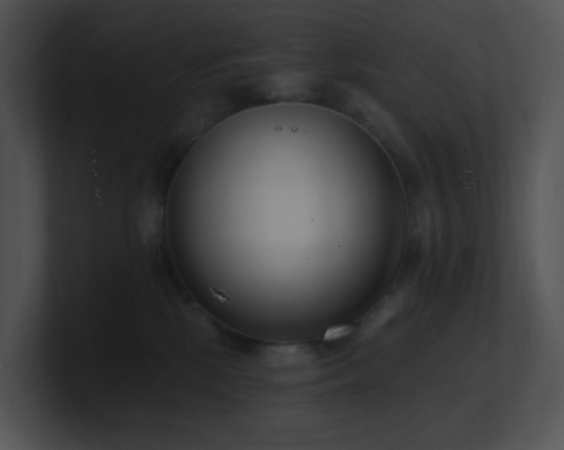 X0000100910281200806241320
