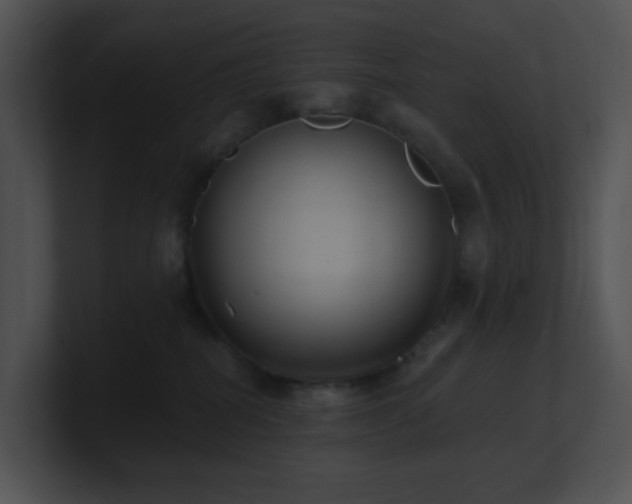 X0000100910282200806241320