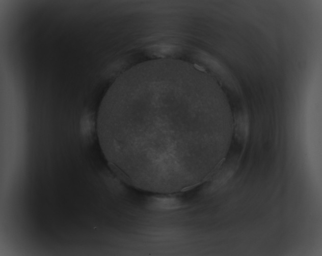 X0000100910284200806241320