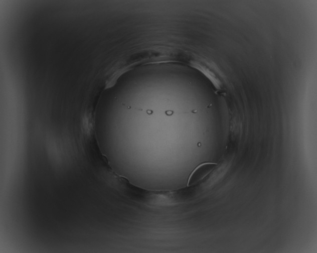 X0000100910285200806241320
