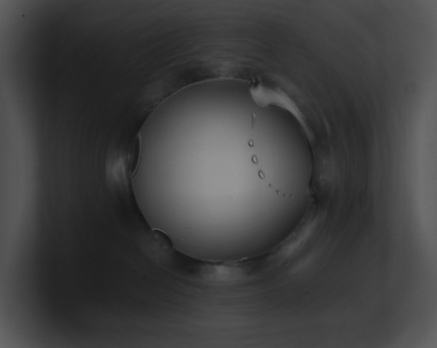X0000100910286200806241320