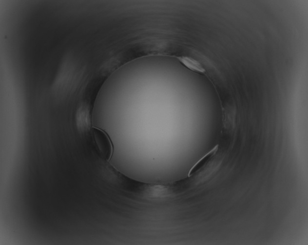 X0000100910287200806241320