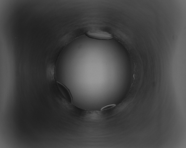 X0000100910288200806241320